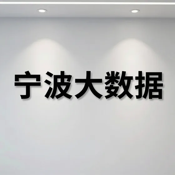 宁波大数据